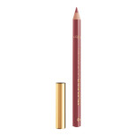 L’Oréal Paris Color Riche Lip Liner - 362 Worth It Medium